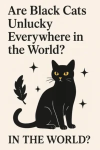 Are black cats unlucky everywhere in the world?
