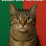 Can cats see color like human?