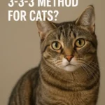 What is the 3-3-3 method for cats?