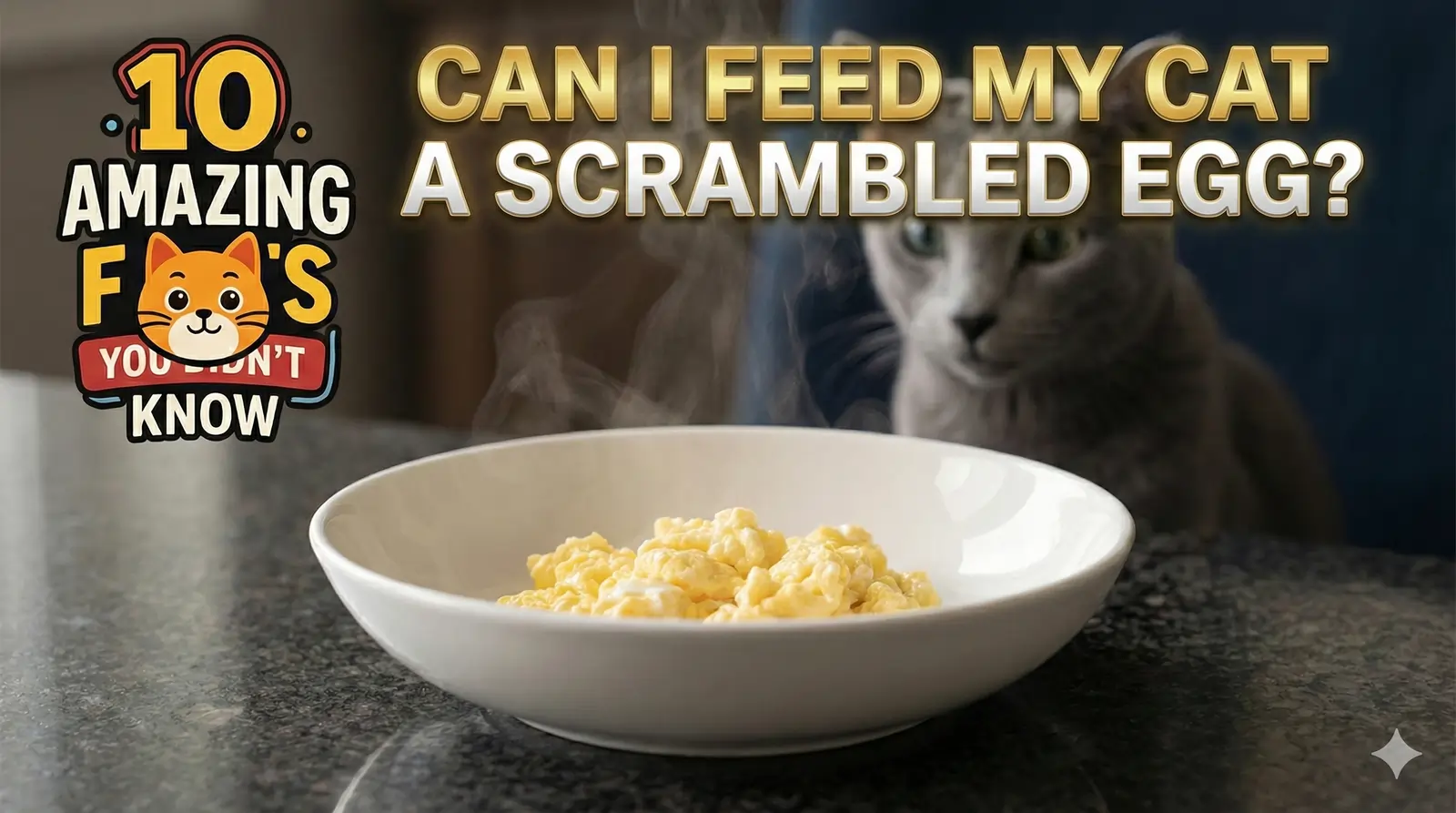 Can I feed my cat a scrambled egg?