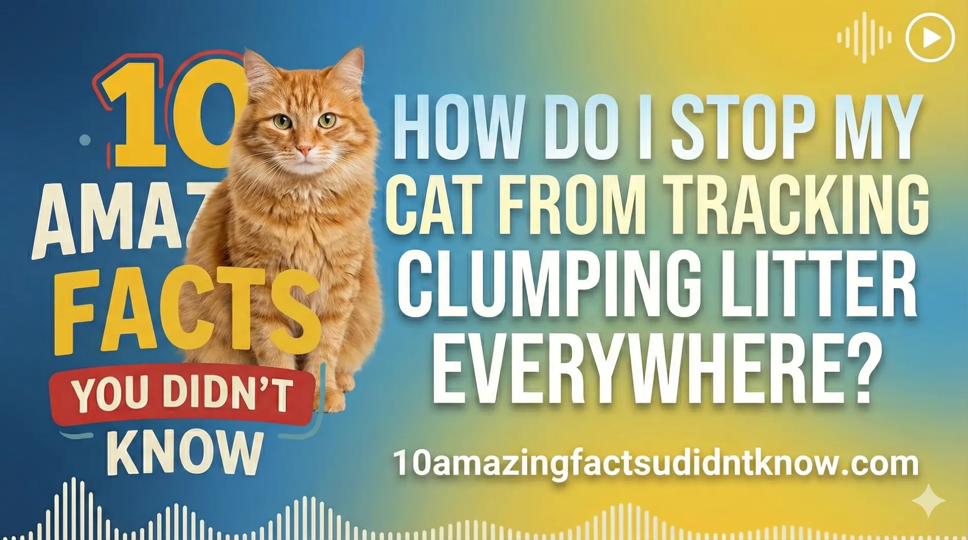 How do I stop my cat from tracking clumping litter everywhere?